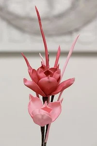 28964 Flor Foam Flower Ceara Espuma Flor, L 68cm Rosa con 2 Flores - Imagen 1 de 1