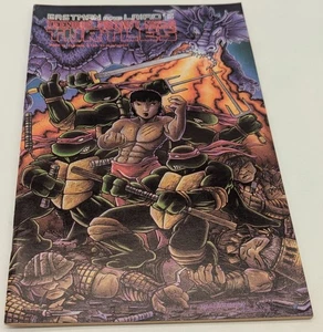 1989 TEENAGE MUTANT NINJA TURTLES #18 SEHR GUTER ZUSTAND MIRAGE VOL 1 TMNT ERSTDRUCK COMICBUCH - Bild 1 von 6