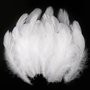 600Pcs White Feathers for Crafts 3-5Inch Craft Feathers Bulk for Wedding Home Pa - Picture 1 of 8