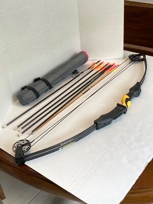 Arco composto Barnett Duck Commander com aljava e flechas - Imagem 1 de 4