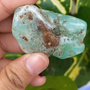 19Gr Natural Rough Green CHRYSOPRASE Mineral Specimen Rough - Picture 1 of 9