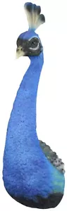 68CM MALE PEACOCK HEAD WALL HANGING WALL ART BLUE PEAFOWL BIRD ANIMAL POLYSTONE - Picture 1 of 4