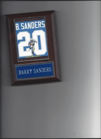 BARRY SANDERS JERSEY PLAQUE DETROIT LIONS FOOTBALL NFL Cover