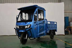 Elektro Transporter,80 AH,42 km /h, Dieselheizung Der neue MEGA Kabinenroller , - Bild 1 von 22
