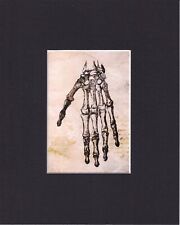8X10" Matted Print Art Picture VTG Anatomy Skeleton Bones Creepy: The Hand