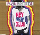 Plain White T's - Hey There Delilah (2006)