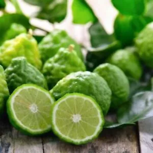 50 Kafferkalksamen Zitrusfrüchte Hystrix Erbstück Bio - Bild 1 von 6