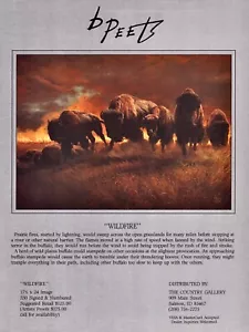 1993 BARBARA PEETS Art Gallery Exhibit ~ Wildfire 1-Page Magazine PRINT AD - Picture 1 of 1