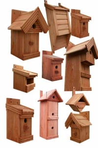 Nistkästen große Auswahl,Fledermauskasten,Nistkasten,Brutkasten,Vogelhaus,Holz - Bild 1 von 24