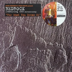 Bedrock Featuring KYO For What You Dream Of Vinyl Single 12inch Stress Record - Imagen 1 de 1