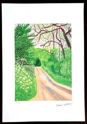 David Hockney - 50x35 cm  Limitierte Auflage  96/500 - Bild 1 von 3