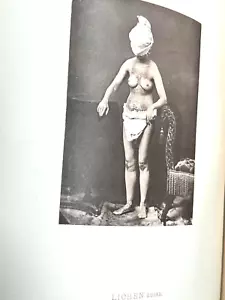 1879 HAUTKRANKHEITEN illustriertes antikes Buch von George Fox Kuriositäten L@@K - Bild 1 von 20