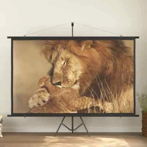 vidaXL Projection Screen 108" 16:9 STP - Picture 1 of 7