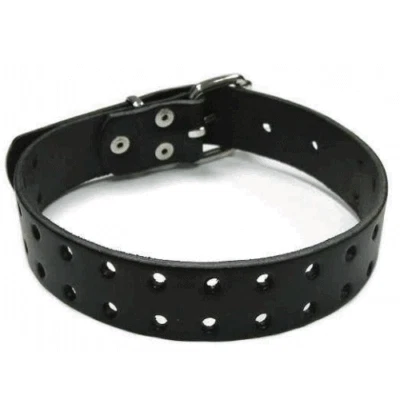 GLETSCHERLICHT Halsband gelocht (30) Schnallen Lederhalsband Lederriemen Leder Riemen Lederband