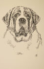 Saint Bernard Dog Breed Art Print #82 Kline draws your dogs name free Great Gift
