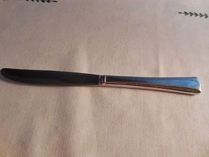 Gorham 18/8 "Nordic" glänzend Edelstahl 9 1/2" Platz Tafelmesser - Bild 1 von 4