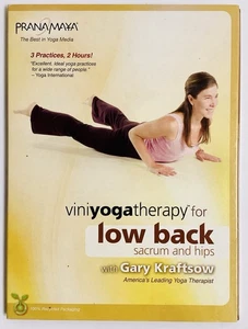 Viniyoga Therapy for the Low Back, Sacrum and Hips: Used - Picture 1 of 2