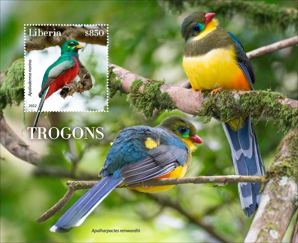 Estampillas Trogons Birds MNH 2022 Liberia S/S Foto 1 de 1