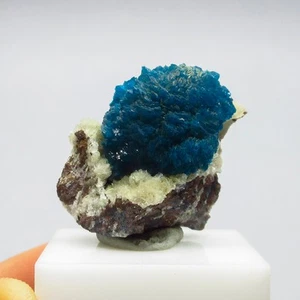 Cavansite on matrix  (non precious natural stone) # 4242 - Picture 1 of 5
