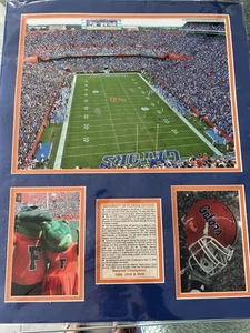 Florida Gators Ben Hill Griffin Stadium Framed 20x24 Opening Collage - Picture 1 of 3