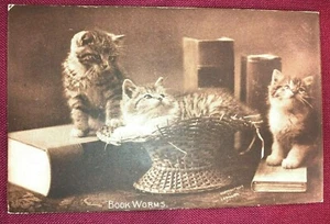 Real Photo Postcard Cat Kittens RPPC Sheahan Boston "Book Worms" - Picture 1 of 7