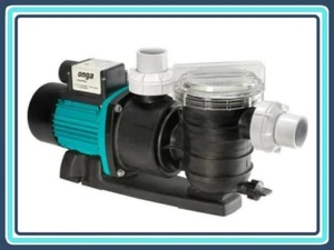 PENTAIR ONGA LEISURE TIME LTP750 1.0HP PUMP Pentair GENUINE - Picture 1 of 4