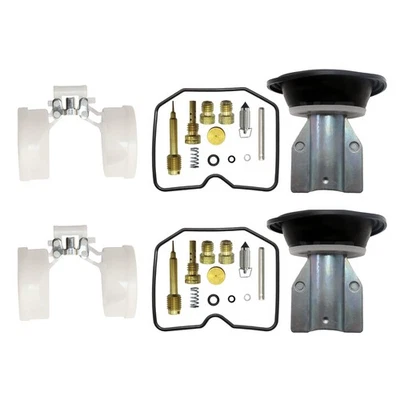 PARA ARCTIC CAT 500 400 ALTERRA 366 350 Kit Reparación Carburador Reconstrucción Foto 1 de 4