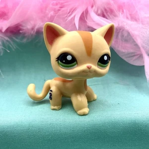 Hasbro LPS Littlest Pet Shop gatto pelo corto arancione viso righe occhi verdi #1905 - Foto 1 di 5