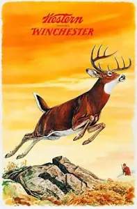 Western Winchester Firearms - Buck - 1955 - Promotional Advertising Magnet - Picture 1 of 2