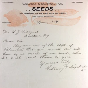 Antique Illustrated Letterhead Galloway & Eigabroadt Company Seeds Syracuse NY - Picture 1 of 3