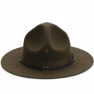 Drill Sergeant Hat Army Instructor Campaign State Trooper Military Park Ranger - Picture 1 of 7