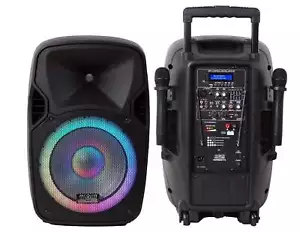 12" Portable Speaker 3000W PA System Wireless Mic Bluetooth Rechargeable - Picture 1 of 8