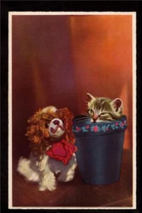Vintage Kätzchen im Topf beobachtet Spielzeug Hund Katze Frankreich Postkarte - Bild 1 von 1