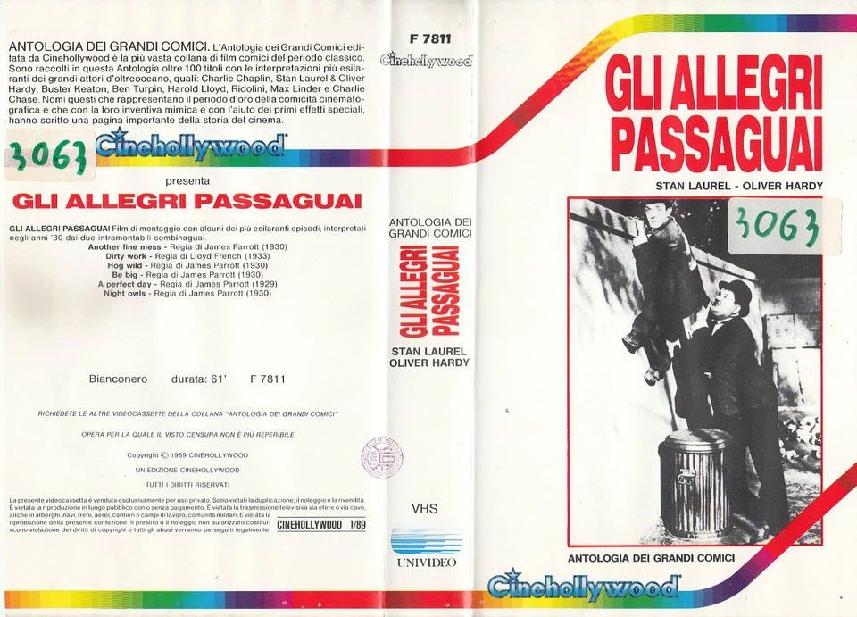 STANLIO E OLLIO - GLI ALLEGRI PASSAGUAI (1989) VHS - Immagine 1 di 1