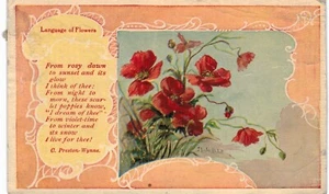 Linguaggio dei Fiori Papaveri Rosa Viola A/S Melville 1910 - Foto 1 di 2