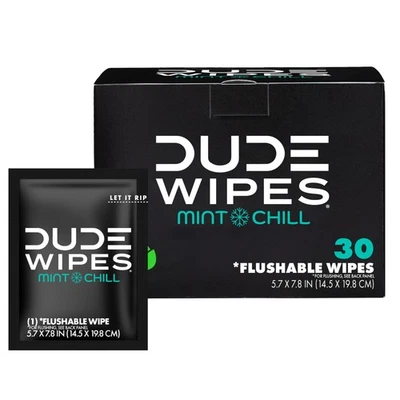 DUDE Wipes On-The-Go Flushable Wipes - 1 Pack, 30 Count - Mint Chill Extra-Larg - Image 1 of 4