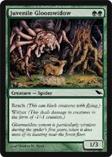 Juvenile Gloomwidow x4 Shadowmoor MtG NM