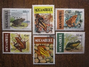 MOZAMBIQUE FROGS - Picture 1 of 2