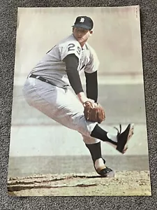 MICKEY LOLICH Detroit Tigers 1970 Major League Poster #645 by Renselaar 24x36 - Picture 1 of 3