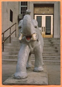San Antonio TX Hertzberg Circus Collection Elephant at Entrance Postcard 1977 - Picture 1 of 3