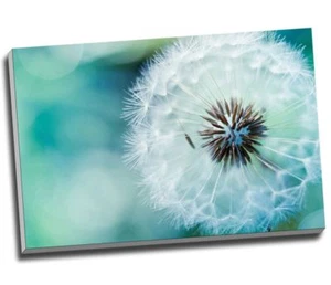 Stampa su tela da camera da letto floreale fiore tarassaco arte da parete 30x20" A1 - Foto 1 di 1