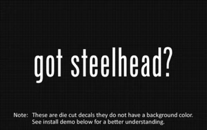 (2x) got steelhead? Sticker Die Cut Decal vinyl - Picture 1 of 1