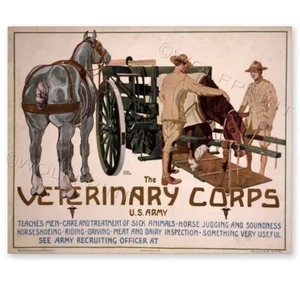 1919 Veterinärkorps Pferd Kavallerie Vintage Stil Poster 1. Weltkrieg 20 x 24 oder 24 x 29 - Bild 1 von 2