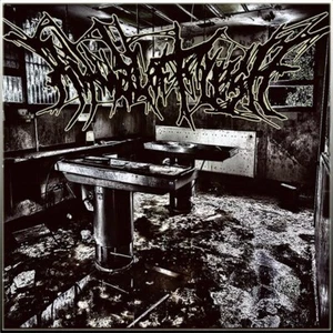 RITUAL OF FLESH - Splatter Grind Abortion CD NEW, Gore/Grind, IMPALED - Picture 1 of 1
