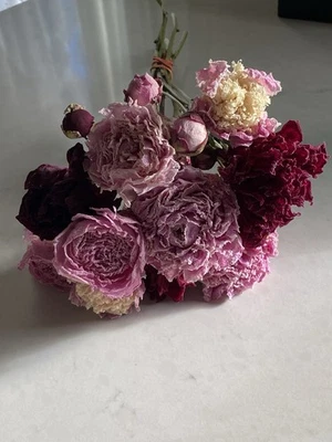 PEONÍAS * FLOR SECA RAMO RAMO Paquete EE. UU. Cultivado Surtido PEONÍA Mezcla Auc#4 Foto 1 de 4