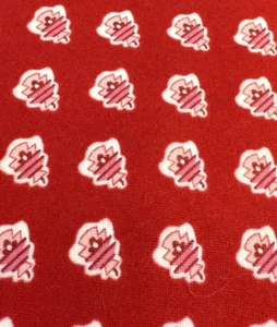 TRAJE DE DISEÑADOR VERA BRADLEY VIVO CORBATA CALIDAD ENVÍO GRATUITO - Imagen 1 de 5
