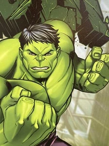Marvel Avengers Incredible Hulk gerahmtes Wandbild 19 "X 12,5" neuer schwarzer Rahmen - Bild 1 von 9