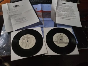 The Godrays Songs For TV Stars VG++ Original 45RPM 2x7" Record & Pic Sleeve 1996 - Imagen 1 de 8