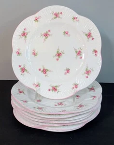 8 Mittagessen Teller wirklich selten 9 3/8" Shelley England Braut Rose zierliche Form - Bild 1 von 3
