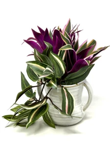 8" Pequeñas plantas artificiales PÚRPURA TRADESCANTIA y rosa JUDÍO imitación seda en maceta en blanco - Imagen 1 de 8